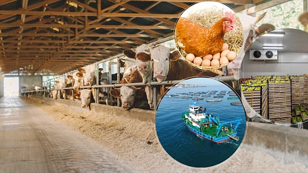 Çiftçiye ve Üreticiye Müjde: TKDK'dan Tarımsal Yatırımlara Dev Hibe