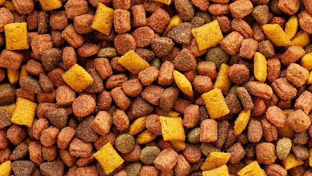 Çikolata ve Şeker Mamulleri İhracatı Yüzde 96 Artış Gösterdi