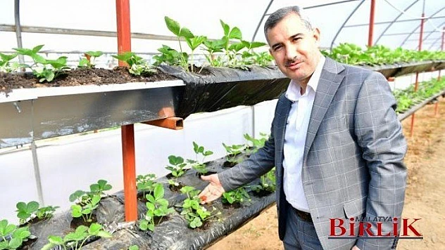Çınar, 15 Ayda 21 Bin 225 Kilo, Yerli Ürün Hasadı Yaptık