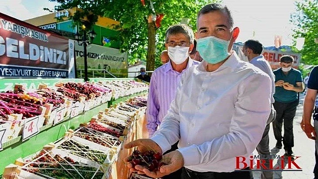 Çınar, Dalbastı Kirazımız Yeşilyurt'un En Önemli Simgesidir
