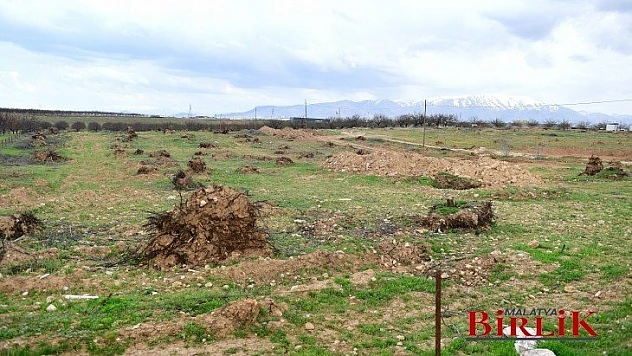 Çınar, Yeşilyurt'umuza Modern Ve Kaliteli Yerleşim Alanları Kazandıracağız