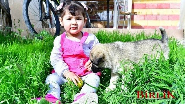 Çocuklarımızı Hayvan Sevgisi İle Büyütelim