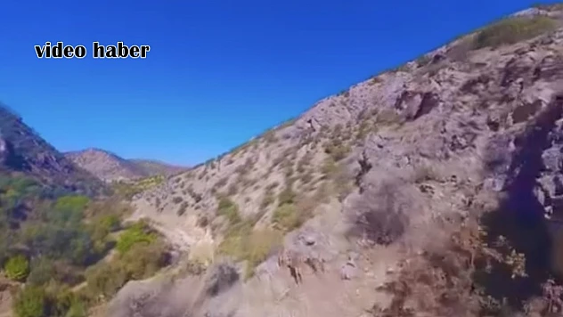 Dağların Sessiz Misafirleri Dron Kamerasında: Yaban Keçileri