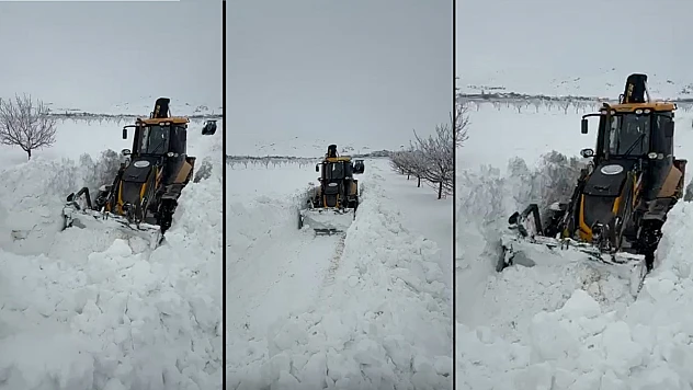 Darende'de Tipi Hayatı Olumsuz Etkiliyor