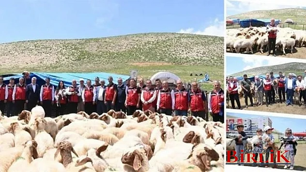 Deprem Bölgesinde Telef Olan 43 Bin 618 Küçükbaş Hayvan Sahiplerine Teslim Edildi