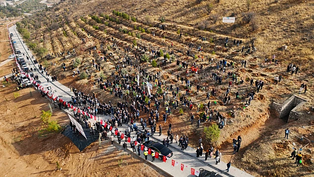 Deprem Şehitleri Unutulmadı: Malatya'da Hatıra Ormanı Yeniden Hayat Buluyor