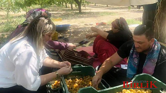 DEVA Battalgazi İlçe Teşkilatı Çiftçilerle Bir Araya Geldi