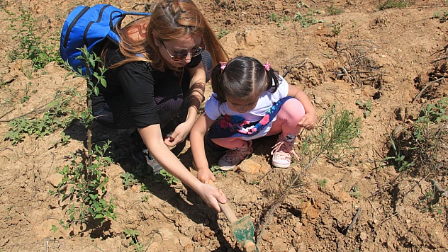 Doğaseverlerin Desteğiyle Yeşeren Umut: 116 Bin Fidan
