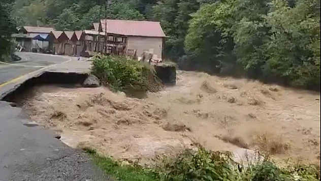 Doğu Karadeniz'de şiddetli yağışlar sürecek