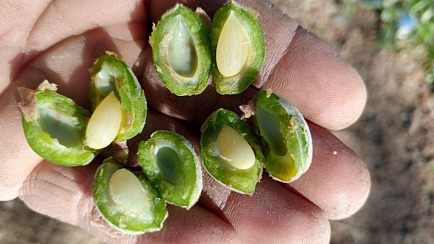 Fendoğlu: 'Devletimiz Ve İlgili Birimler Konuyu Hassasiyetle Takip Etmektedir'