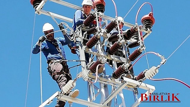 Fırat Edaş'ın 'Özgür Kuşlar' Projesiyle Göçmen Kuşlar Güvende