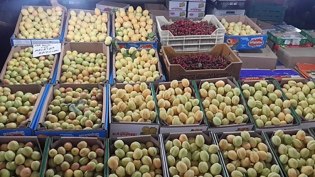 Malatya'da Kayısı Çarşı Pazar Tezgahlarına İndi