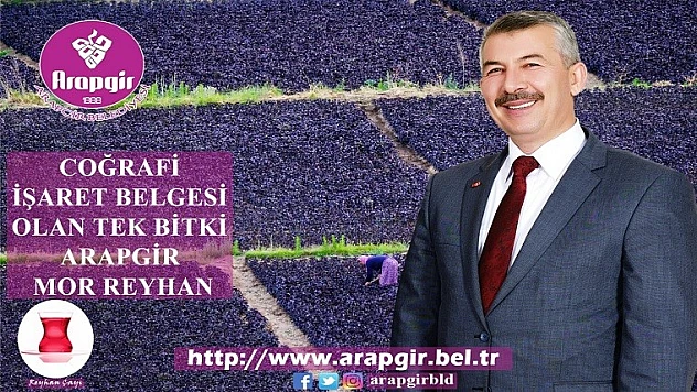 Arapgir'in Mor Reyhanı Coğrafi İşaret Belgesi Alan İlk Bitki Oldu