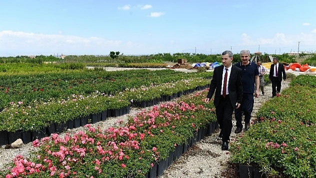 Başkan Çınar, Tepeköy Fıdanlık Alanında İncelemelerde Bulundu