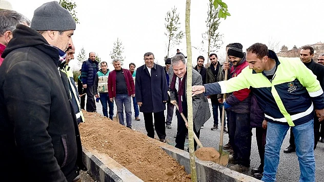 Yeşilçam Caddesi Yeşilleniyor
