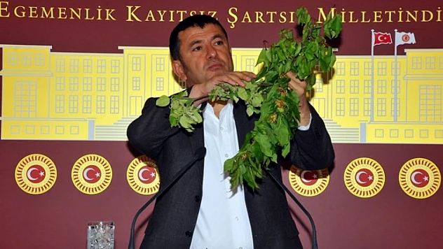 Ağbaba, Tescil Tamam Sıra Sorunlarda