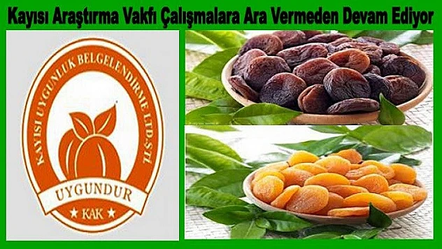 Kayısı Araştırma Vakfı Çalışmalara Ara Vermeden Devam Ediyor