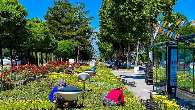 Malatya Rengarenk Çiçeğe Büründü