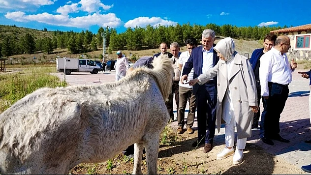 Başkan Polat, Türkiye'ye Örnek Bir Merkez