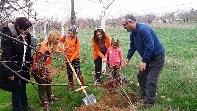 Orman Haftasında Fidan Diktiler