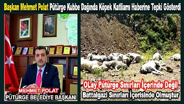 Başkan Polat'tan Hayvan Katliamı Haberine Tepki