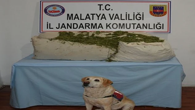 Malatya'dan Asayiş Haberleri