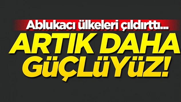 Şeyh Al Sani: Artık Daha Güçlüyüz