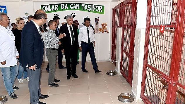 Hayvan Barınağı ve Doğal Yaşam Merkezi Türkiye'ye Örnek