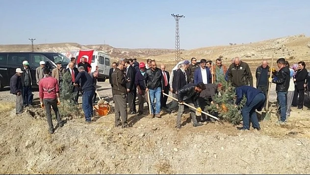 Onar'da 2 Bin Fidan Toprakla Buluştu