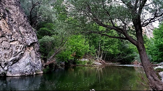 Arapgir,  Fotokampı Sahiplendi
