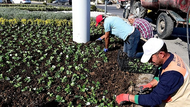 Kavşaklar Renkleniyor