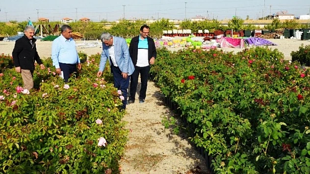 Polat, İlçemizin Güzellikleri Çiçek Ekimleriyle Ön Plana Çıkıyor