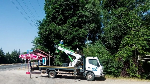 Fırat Edaş'tan Ağaç Kesme Ve Budama Uyarısı