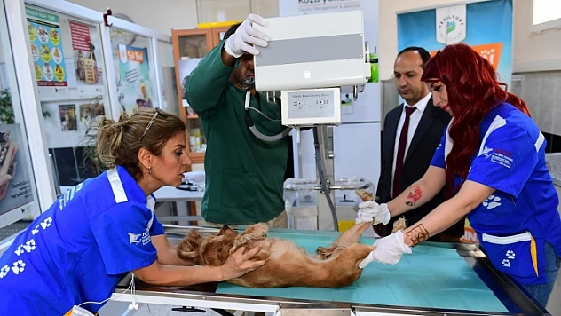 Doğanın Sevimli Canlılarını Korumak İçin Hizmetlerimizi Genişletiyoruz