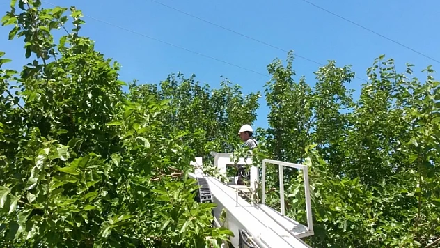 FIRAT EDAŞ'tan Önemli Uyarı