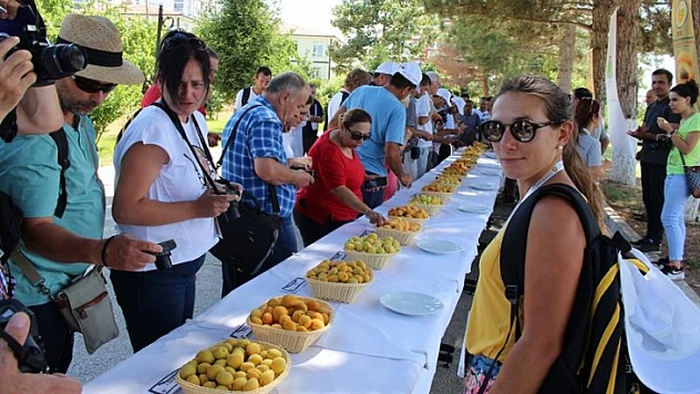 17. Uluslararası Kayısı Islahı Ve Kültürü Sempozyumu