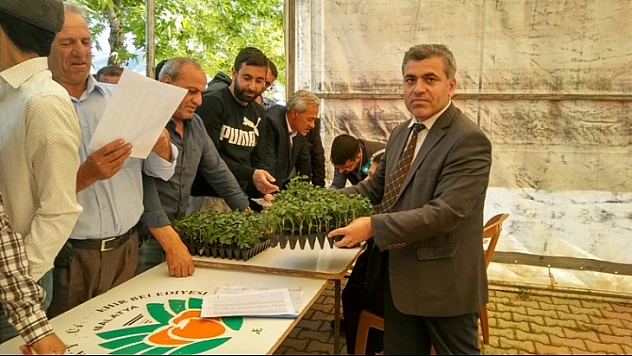 Kale'de Çiftçilere Sebze Fidesi Dağıtıldı