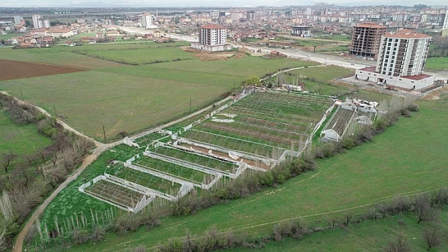 Yerli ve Milli Üretimde Önde, Örnek İlçe Olacağız'