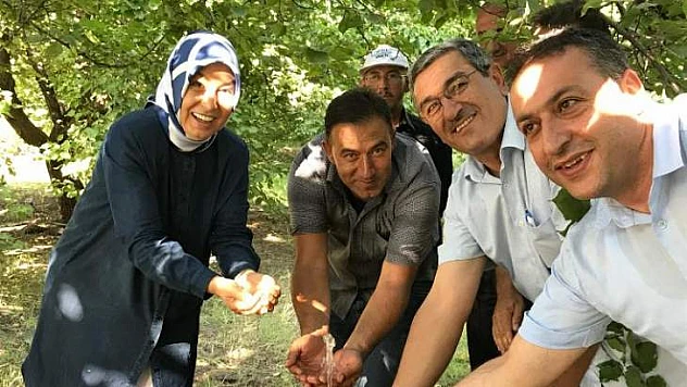 Çalık, Sulama Suyu Projelerinde İncelemelerde Bulundu