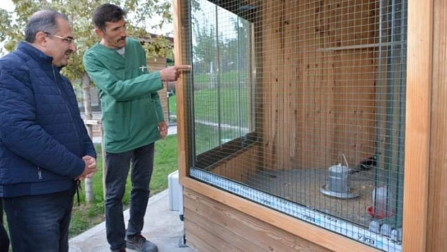 Vali Kaban Doğal Yaşam Parkı Ve Hayvanat Bahçesini Gezdi