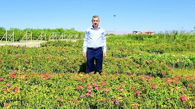 İlçemiz, Mevsimlik Çiçeklerle Daha Güzel, Daha Renkli