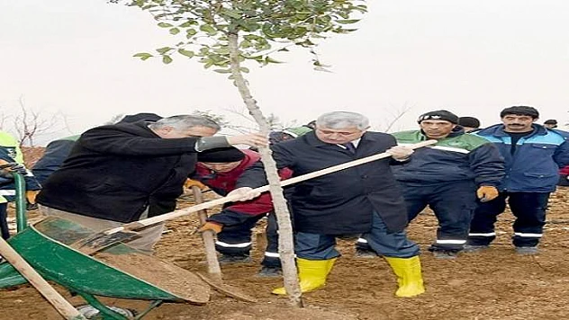 TOKİ 3. Bölgede Ağaçlandırma Çalışmaları