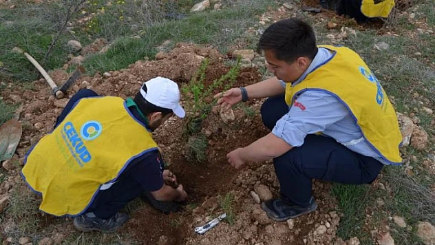 ÇEKUD'dan Fidan Dikme Etkinliği