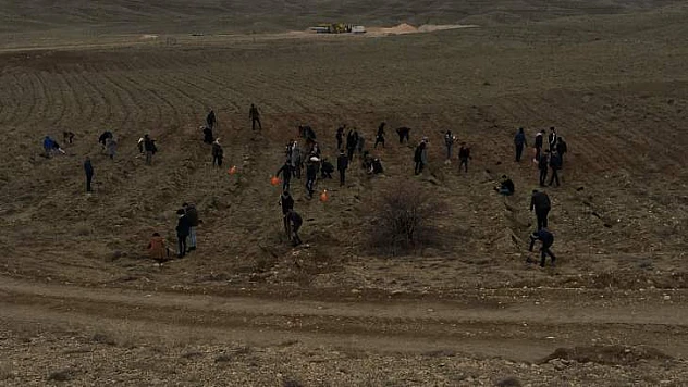 Gençler Fidan Dikim Etkinliğinde Buluştu