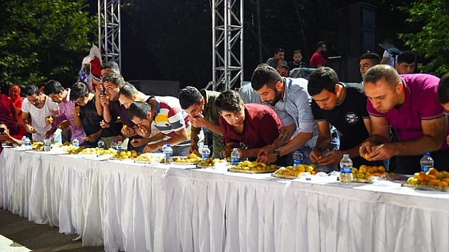 Yaş Kayısı Yeme Yarışması Sonuçlandı