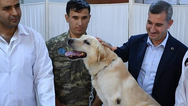 'Hayvan Sevgisini Özümsemek Vicdani Bir Sorumluluktur'