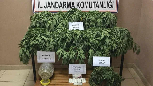 Uyuşturucu Operasyonu