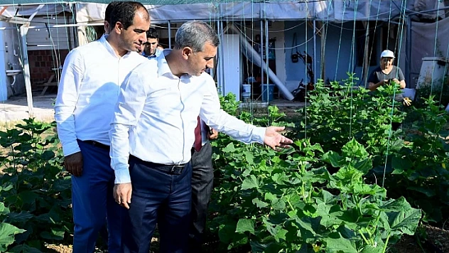Yeşilyurt Belediyesi, Çiftçilere 100 Bine Yakın Sebze Fidesi Dağıtacak