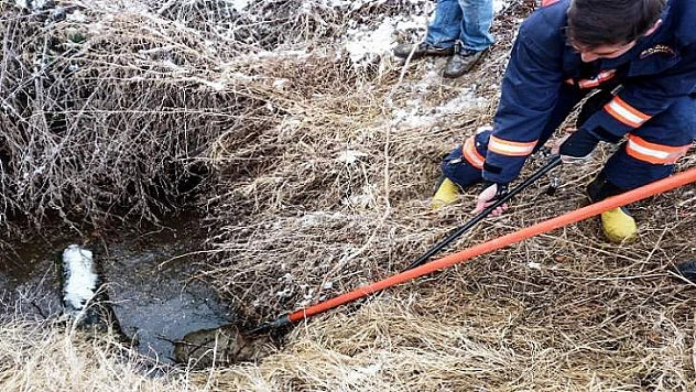 Fosseptik Çukuruna Düşen Koyunu İtfaiye Kurtardı