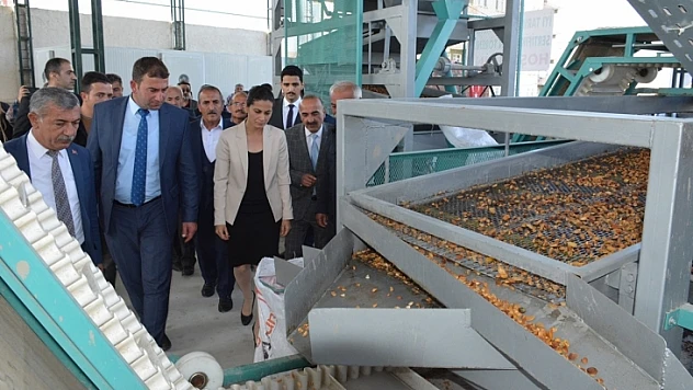 Akçadağ'da Kayısı Çekirdeği Kırma ve Eleme Tesisi Açıldı